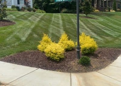 Flawless Landscaping
