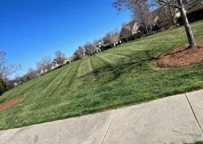 Landscaping in Charlotte, NC
