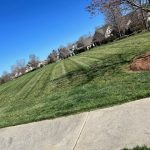 Grass Cutting Charlotte, NC