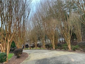 How to Install a Gravel Driveway Charlotte, NC