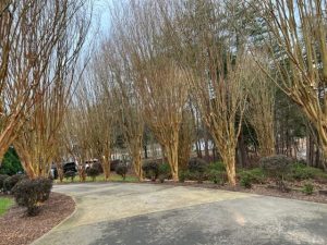 How to Install a Gravel Driveway in Charlotte, NC
