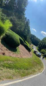 Landscape Contractor Charlotte, NC
