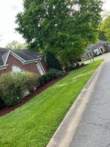 Landscaping Ideas for Front of House Charlotte, NC