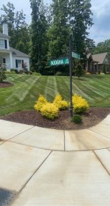 Landscaping Ideas for Front of House in Charlotte, NC